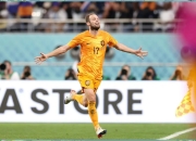 开云体育平台APP-年轻球员表现抢眼，未来可期的简单介绍