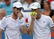 开云官网-美国网球队碾压意大利网球队，穆雷高光表现的简单介绍