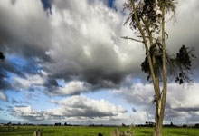 开云体育-秘鲁拳击选手实现逆袭，夺得领奖的简单介绍