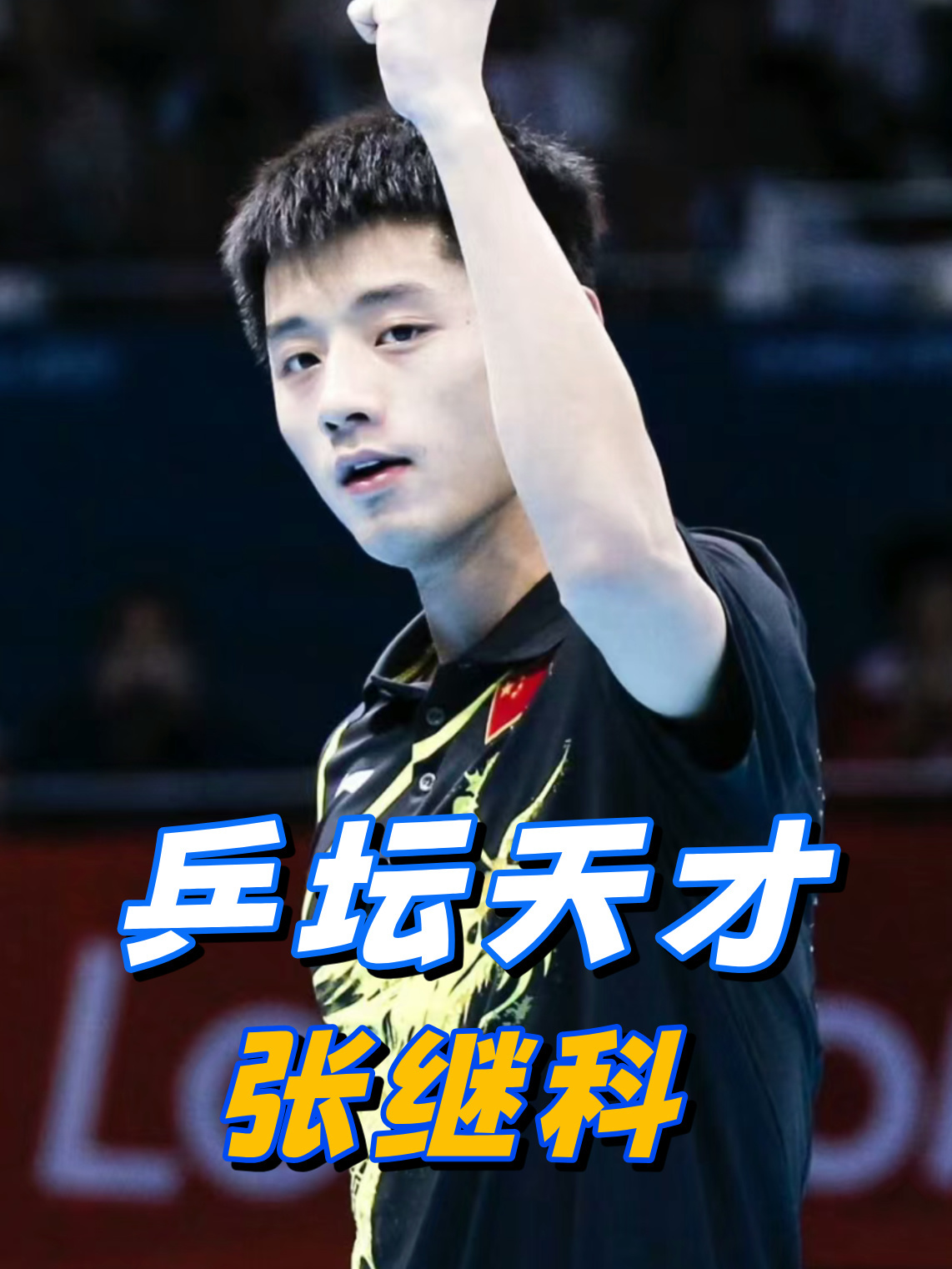 波兰乒乓球队鏖战瑞典乒乓球队,张继科惊艳世界 波兰乒乓球队鏖战瑞典乒乓球队,张继科惊艳世界