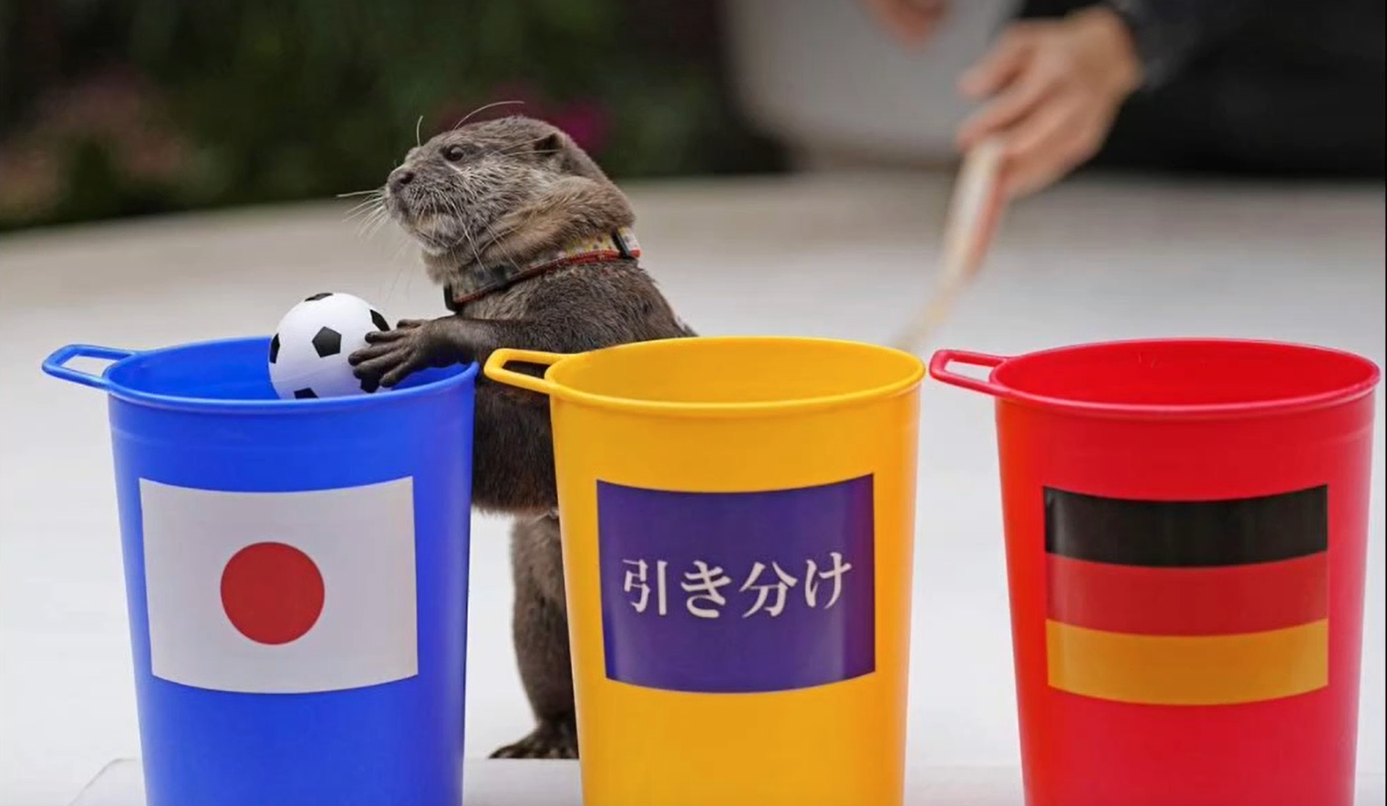 德国队翻盘日本队,黄鸭组合点燃赛场的简单介绍 德国队翻盘日本队,黄鸭组合点燃赛场的简单介绍